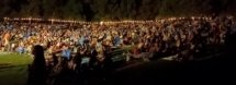 Wide landscape image of a crowd sitting on the grass at an Elton John tribute concert.